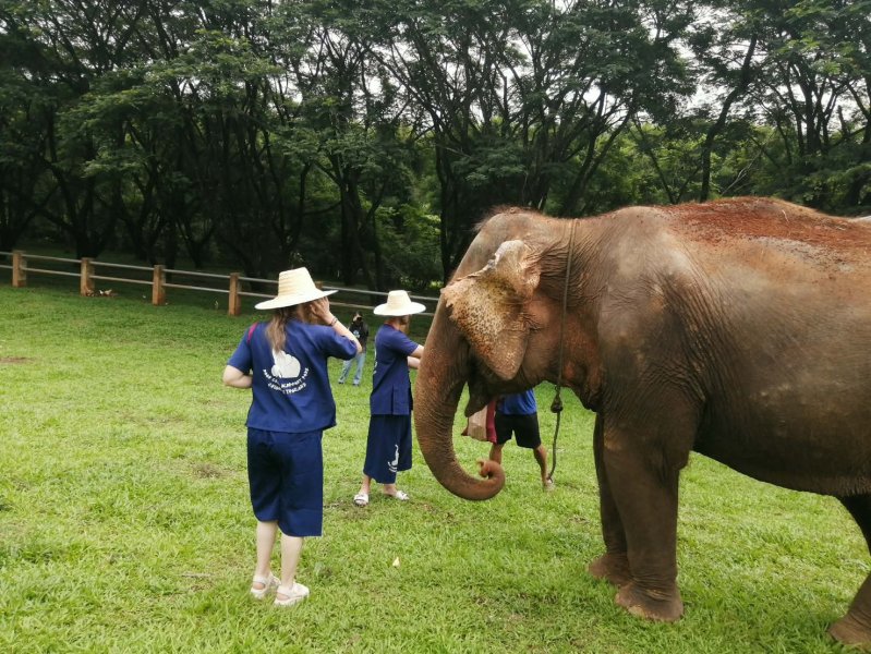 project