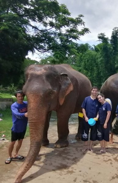project