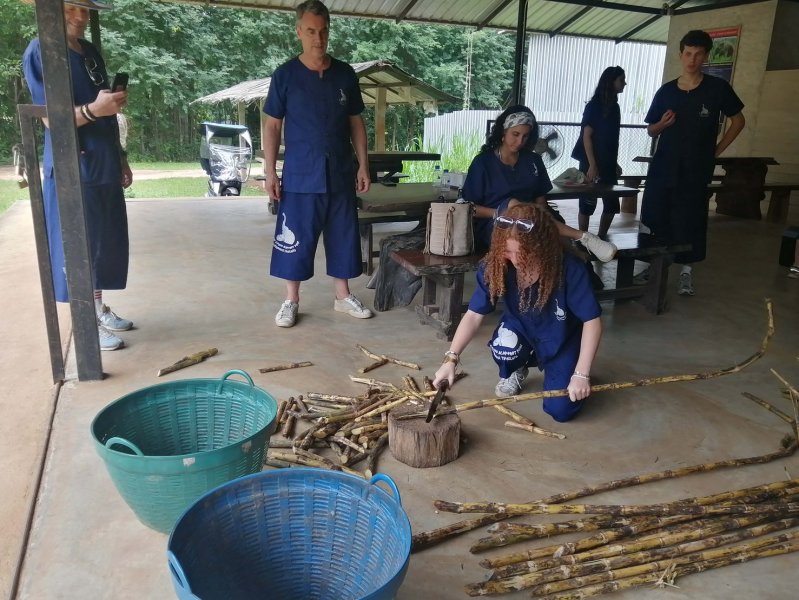 project