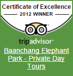 Elephant Sanctuary Park in Chiang Mai (Thailand).