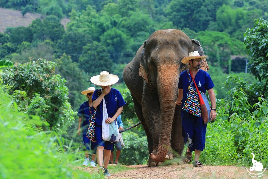 | Elephant Sanctuary Park in Chiang Mai (Thailand).