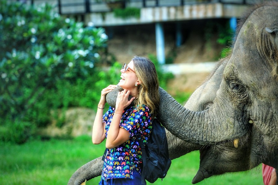 Half Day - Elephant’s Heaven